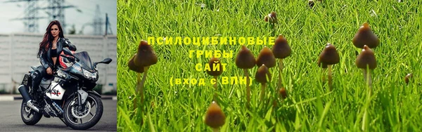 каннабис Заволжск